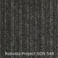 /products/robusta-project-sdn-548/